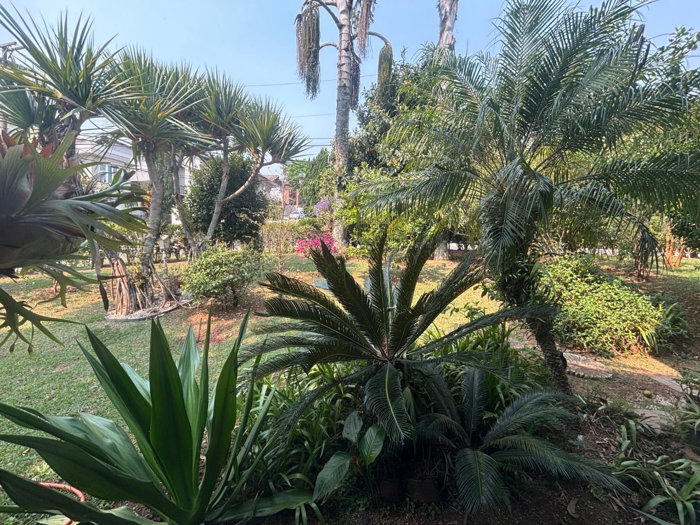 Casa em Alphaville 9, Santana de Parnaíba