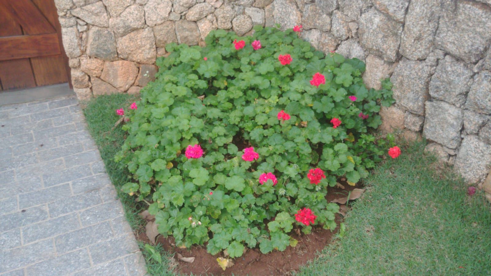 Foto 8